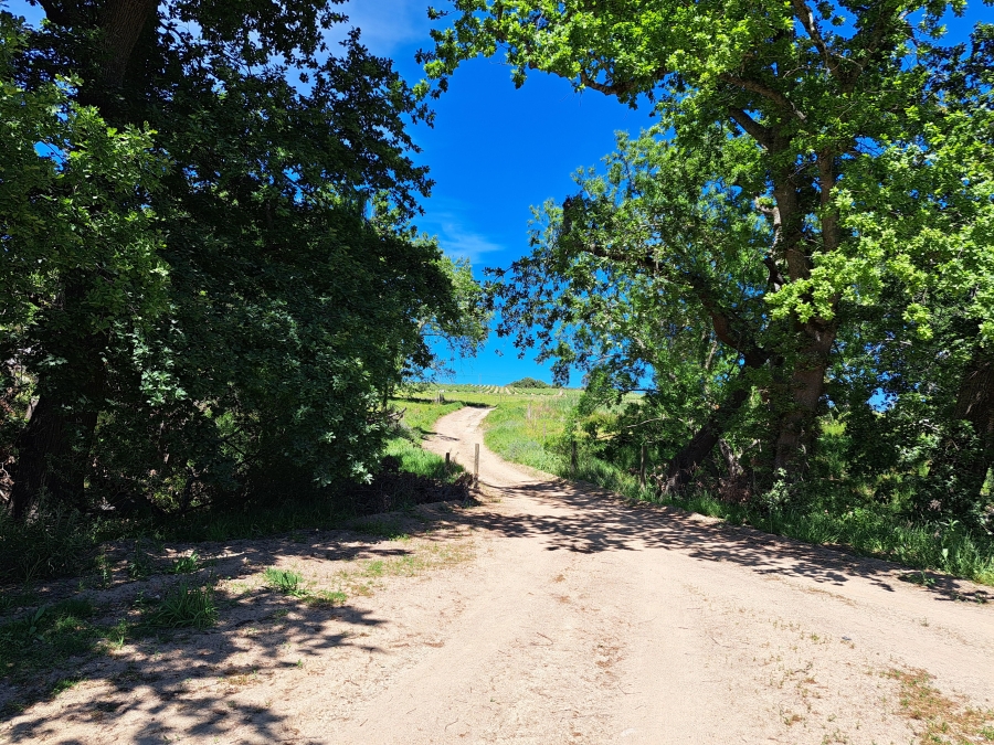 0 Bedroom Property for Sale in Stellenbosch Farms Western Cape